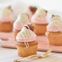4 Advantages Of Using Plastic Trays For Baking