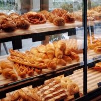 5 Big Industries With Use For Plastic Tray Sets and Pallets