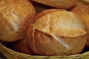 5 Key Market Trends for Bakery Products and Trays