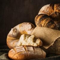 Choosing the Best Type of Plastic Tray for Your Bakery