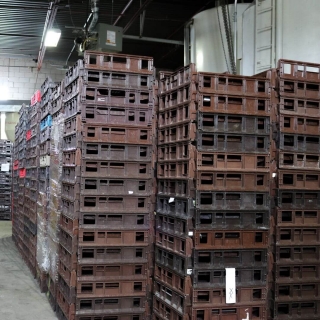 Choosing the Right Plastic Trays Manufacturer