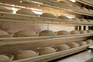 How the Baking Industry Is Molded by Injection Molding Machines