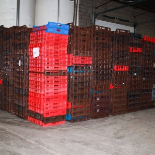 Key Features Of Plastic Bread Trays