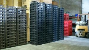 Plastic Tray 101: The Different Types of Plastic Trays Available in the Market Today