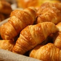 Tips on How to Properly Handle Bakery Plastic Trays